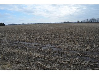 Property photo 55 - 173 +/- Acres Offered in 3 Tracts - Ohio Farmland